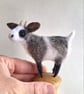 Knob Goat - Scruffy Grey