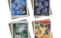 Greetings cards 