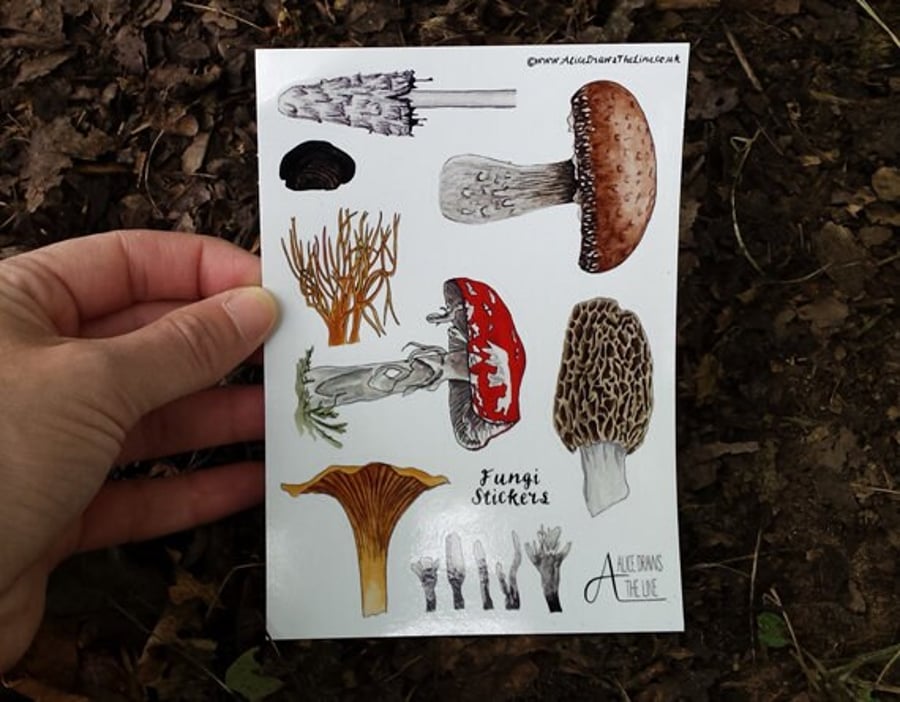 Fungi Mushroom sticker sheets by Alice Draws The Line; great for party bags. A6 