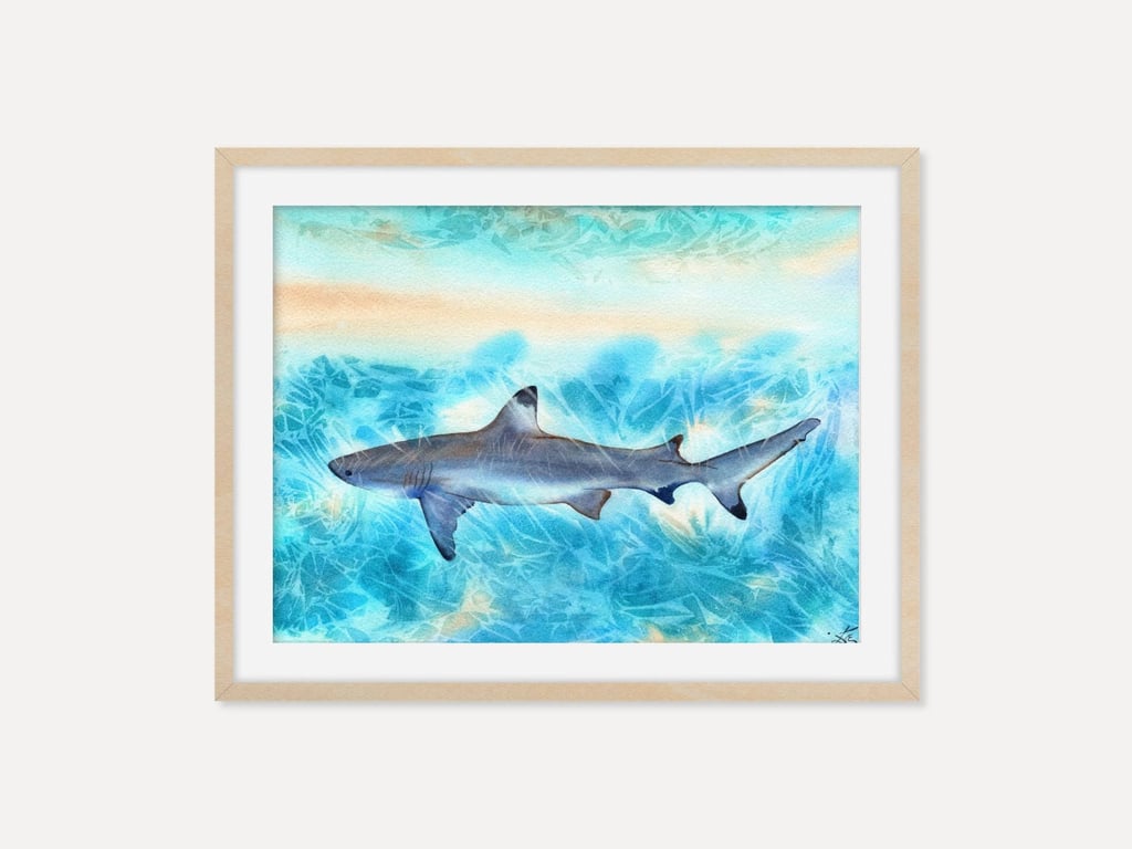Sunlit Shark Art Print, Ocean Shark Wall Art, Underwater Sea Life Artwork