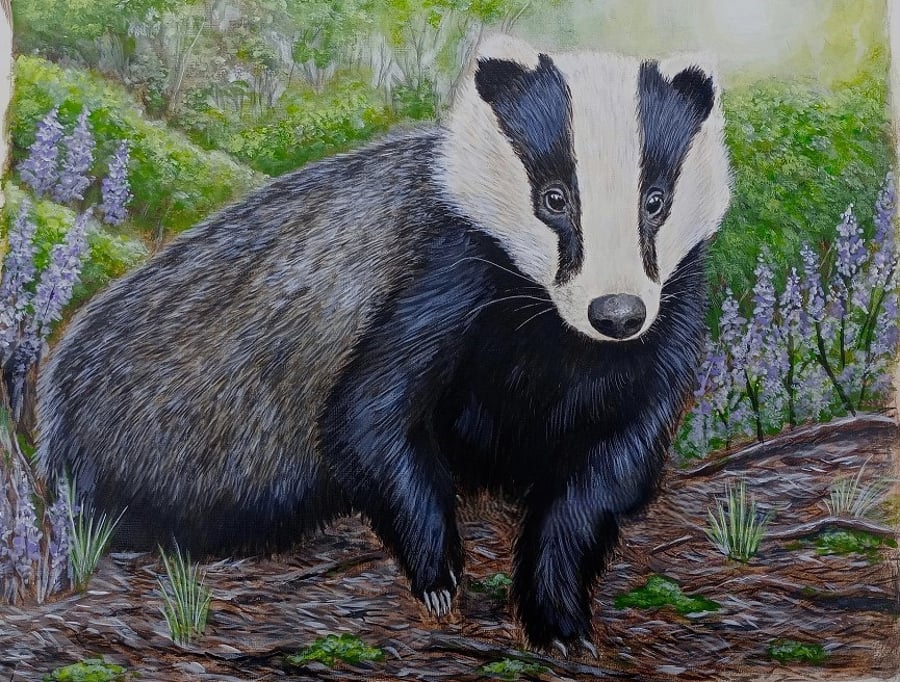 Amanda's Animal Art