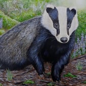 Amanda's Animal Art