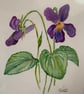 Original watercolour painting - Violets - Image 3