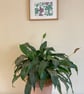 Frog Lino print, frog print, garden frog print, garden frog Lino print - Image 4