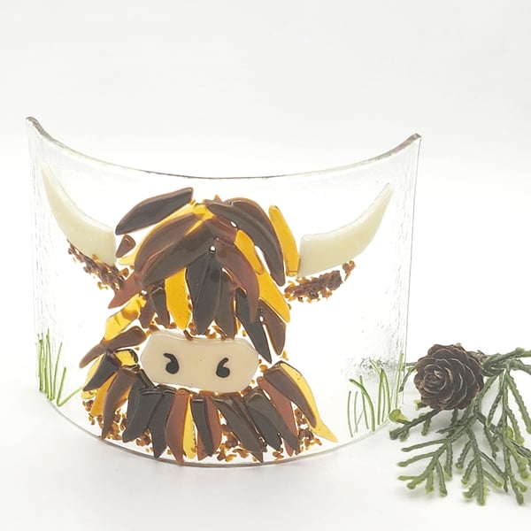 Fused Glass Highland Coo Curve 