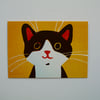 HAPPY CAT -BLANK GREETINGS CARD