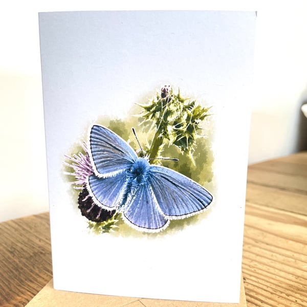 Blank Card A6 Portrait - Common Blue