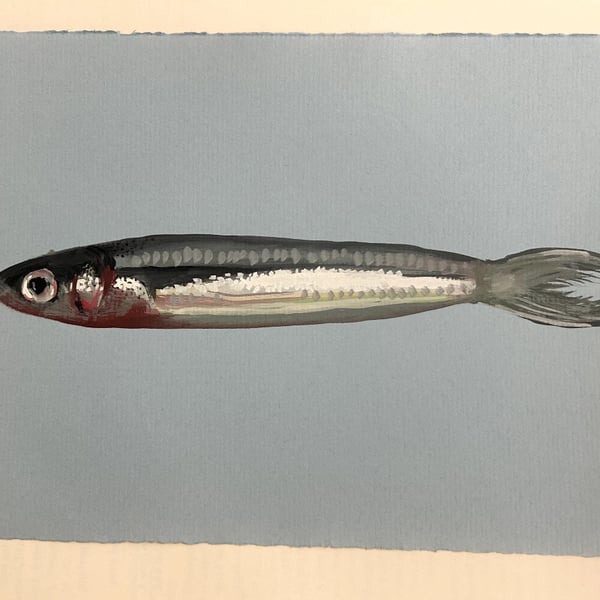 SARDINE painting in gouache, A5 