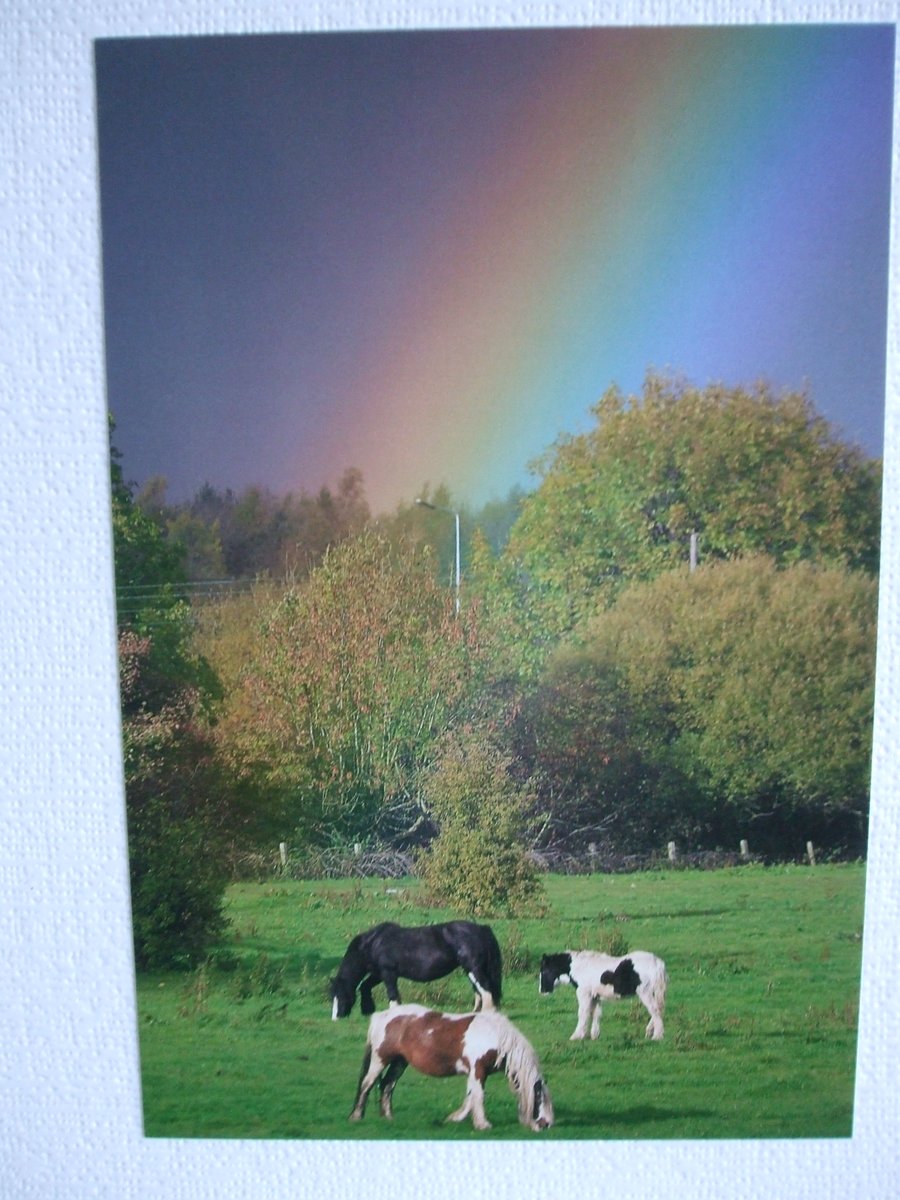 Photographic greetings card of a rainbow with 3 horses at the end.