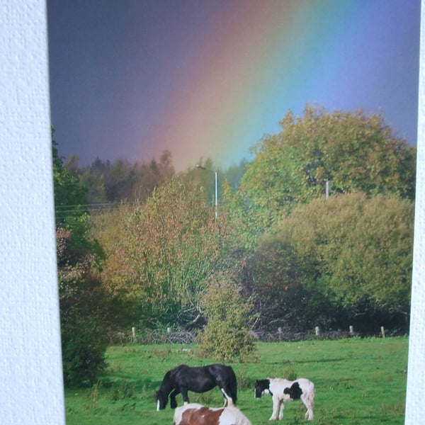Photographic greetings card of a rainbow with 3 horses at the end.