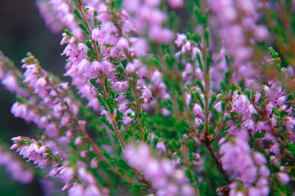 MoorlandTales resin jewellery