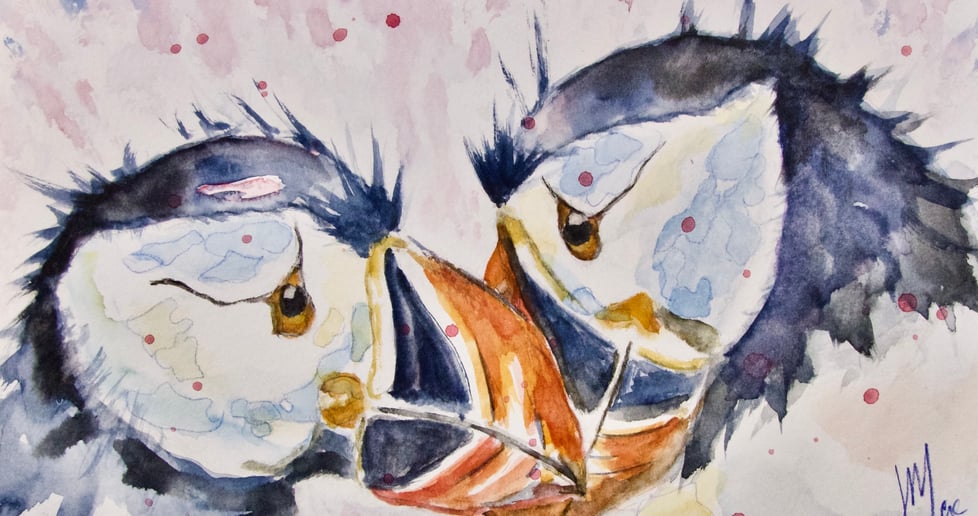 jmacartandphotography