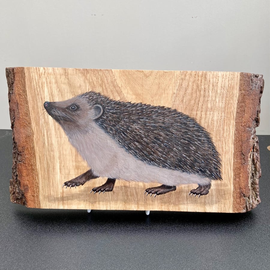 Hedgehog original painting on Oak wood