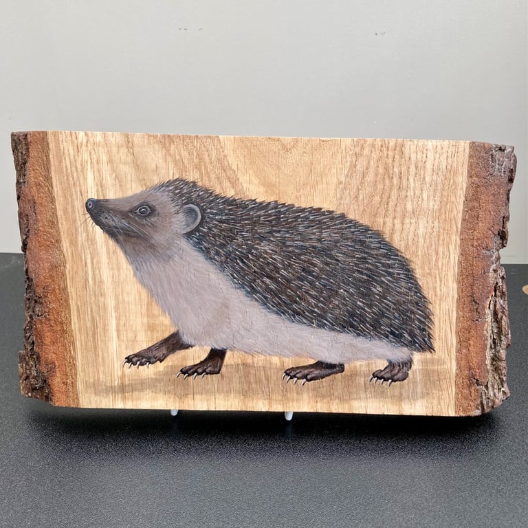 Hedgehog original painting on Oak wood