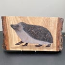 Hedgehog original painting on Oak wood