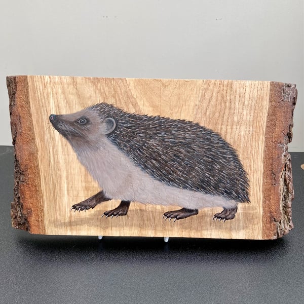 Hedgehog original painting on Oak wood