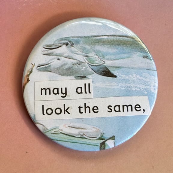 Collage pin badge - dolphins may all look the same