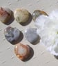 6 Crazy Lace Agate Solid Gemstone Polished Hearts - 20mm - Chakra - Crafting - Image 2
