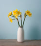 Milk Bottle Vase  - Image 7