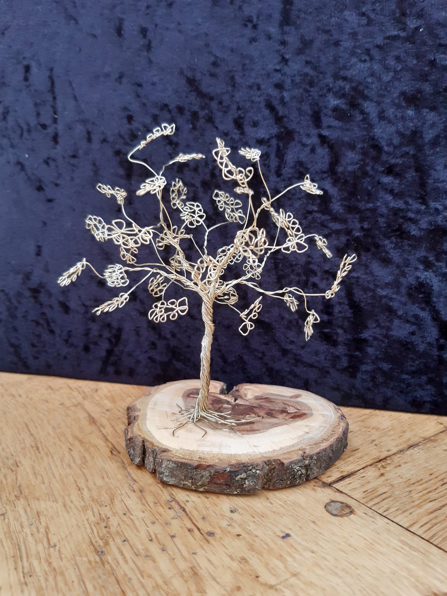 Quirky wire tree set on wooden base