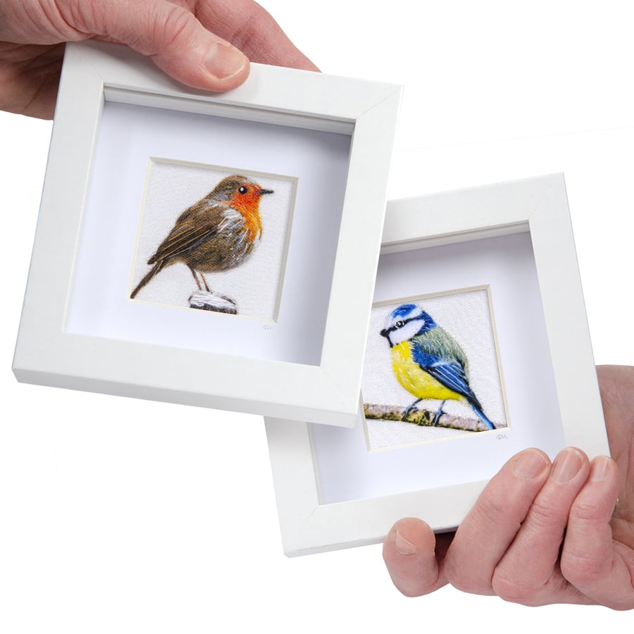 robin and bluetit - two framed pictures (bundle price)