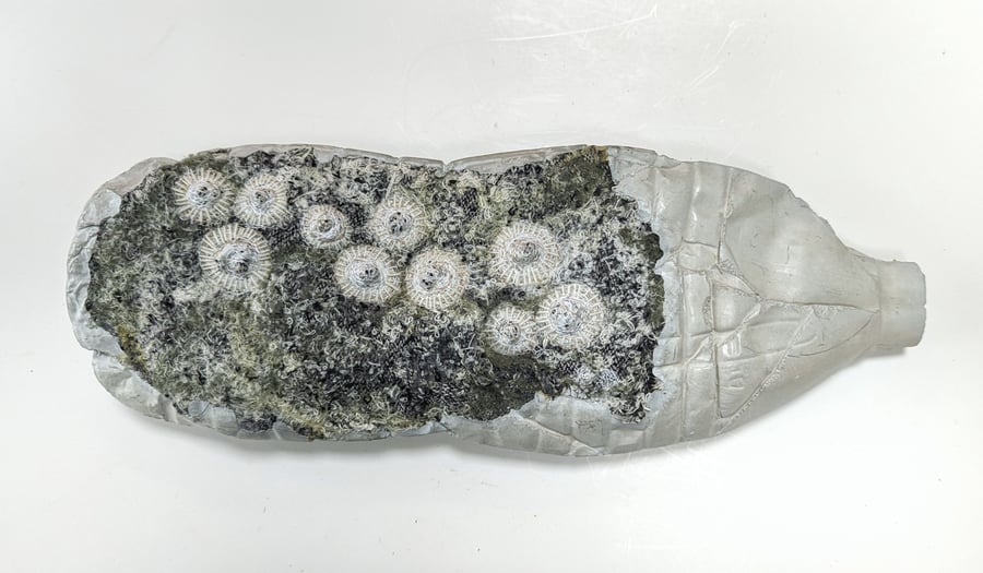 Message in a Bottle - sculpture from recycled materials (large dark green)