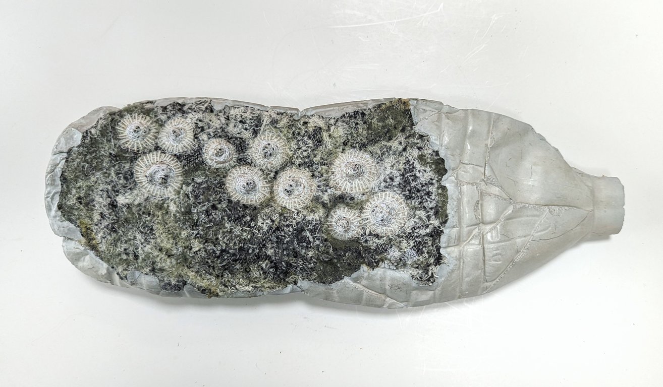 Message in a Bottle - sculpture from recycled materials (large dark green)