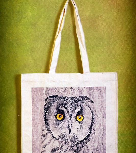OWL STARE - TOTE BAGS INSPIRED BY NATURE FROM LISA COCKRELL PHOTOGRAPHY