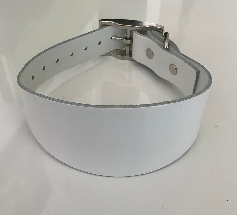  White  leather Greyhound Collar