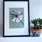 Botanical art, Garden Allium, seed head, shadow painting, handmade art, green
