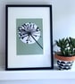 Botanical art, Garden Allium, seed head, shadow painting, handmade art, green - Image 1