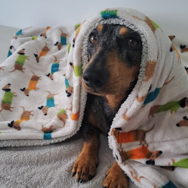 Dachshund Snuggle Bag,Sack 