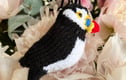 British Wild birds Collection 