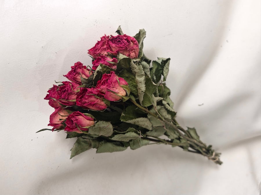 10 Dried Roses, Pink.. Letterbox Flowers.