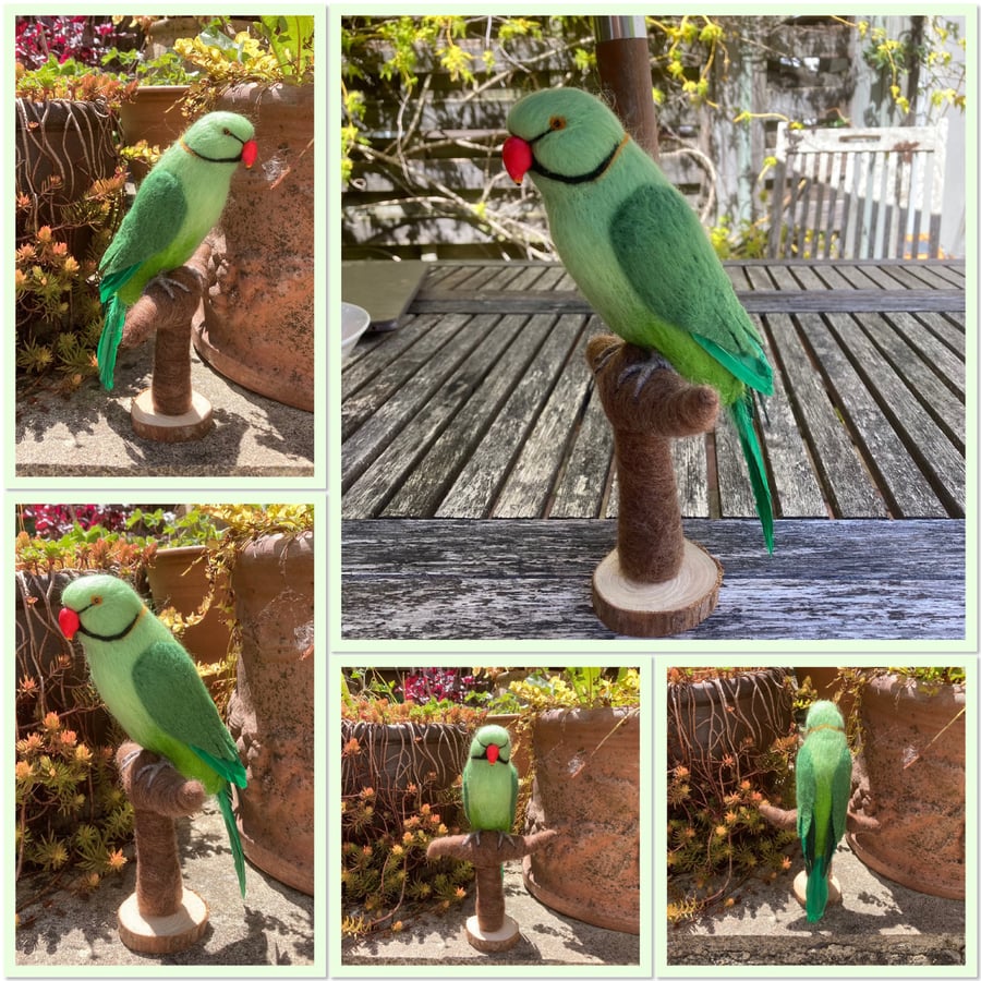 Needle felted ring necked parakeet, model, sculpture 