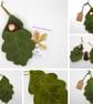 Acorn doll in an oak leaf - Image 2