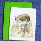 "Roly on the Bedroom Stool"