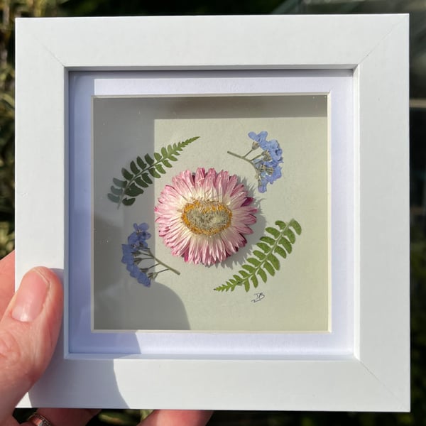 Real Pressed and Dried Flower, Framed Art, Mother’s Day, birthday gift