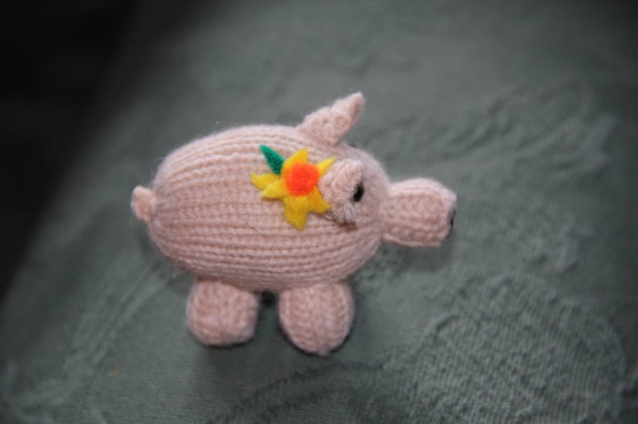 Winnie the Welsh Pig