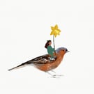 Chaffinch, Girl And Daffodil Print