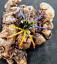 Pride Flag sPRIDEr Hanging Spider Suncatcher Decoration - Image 4