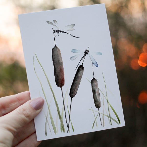 Dragonfly Birthday Card, Bull Rushes Birthday Card, Personalized Dragonfly Card