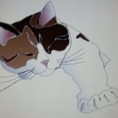 Purrfect Patches