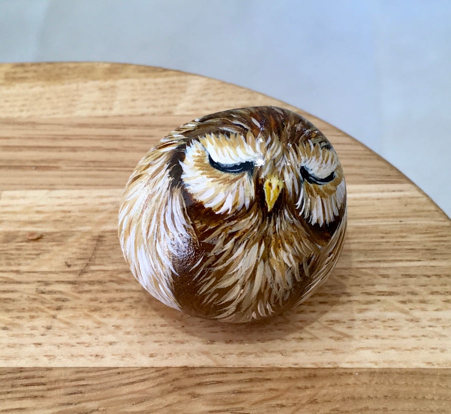 Owl hand painted pebble garden rock art wildlife portrait bird gift 