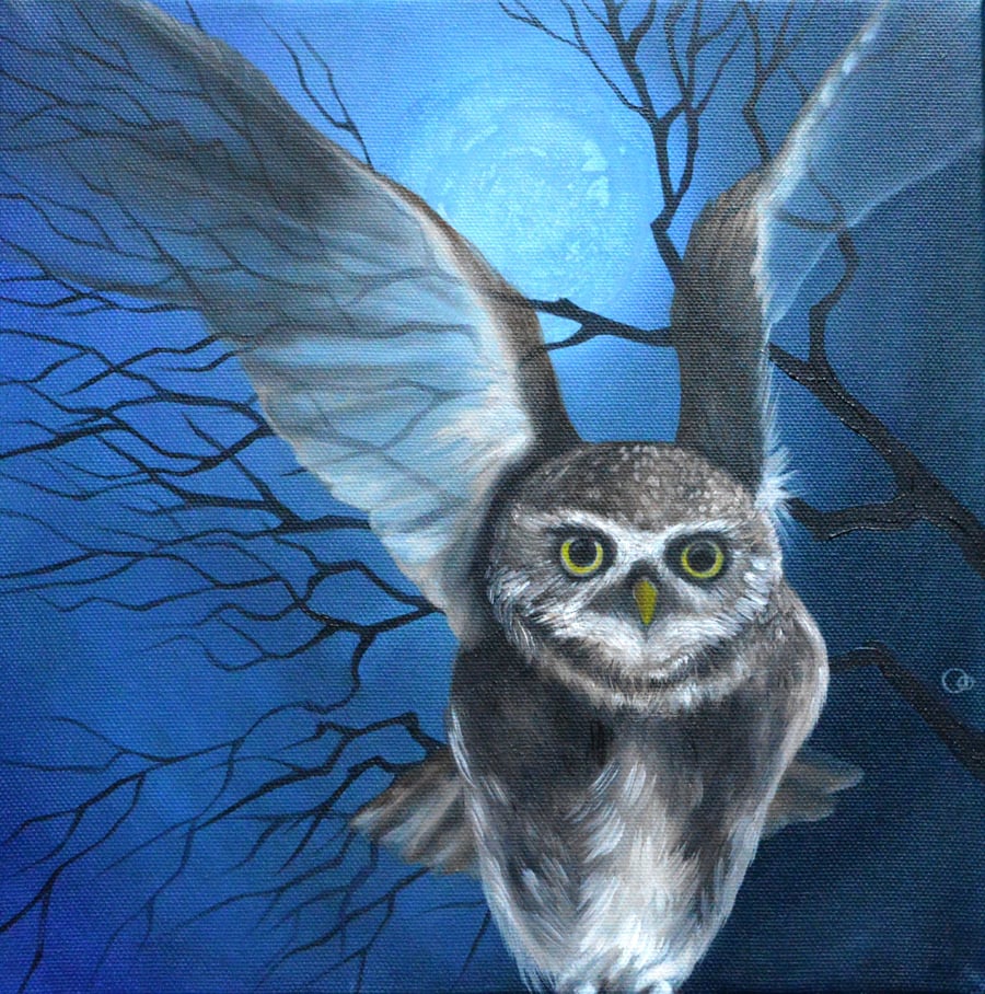  "Midnight" Owl Fine Art Handmade Greeting Card