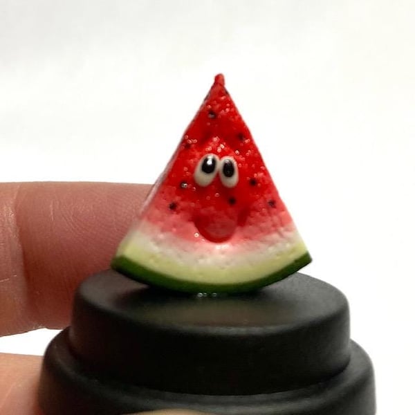 Pet Watermelon, Melon lover, Pet fruit, Comedy Novelty gift, Fruit lover
