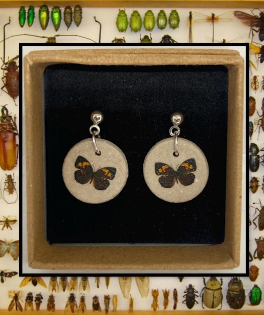 Bug stud clay earrings