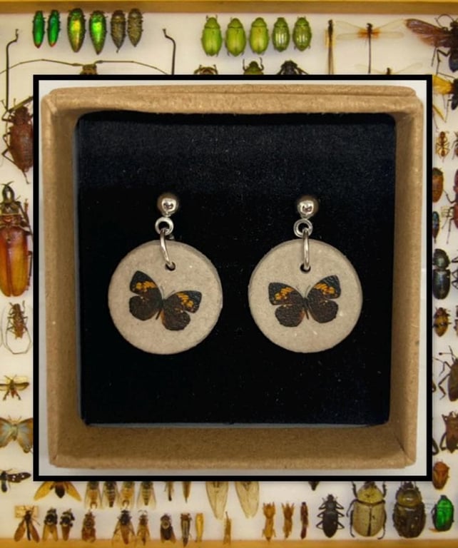 Bug stud clay earrings