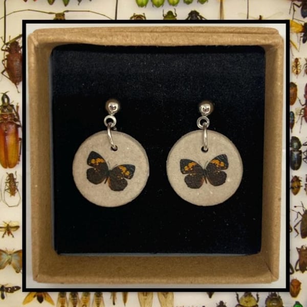 Bug stud clay earrings