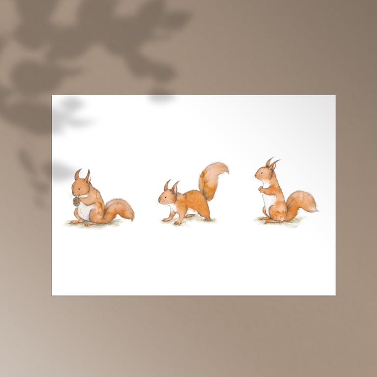 Red Squirrel Large Postcard Print